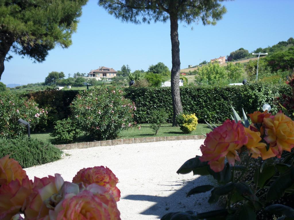 Bed And Breakfast " Il Tesoro Di Mario " Falconara Marittima Exterior foto