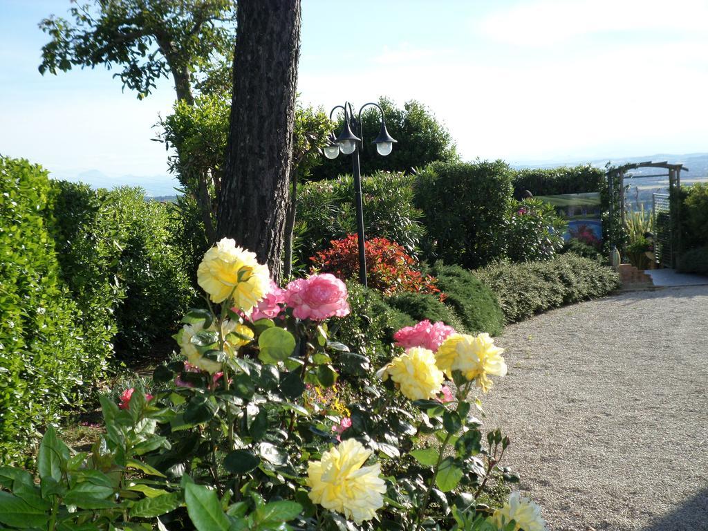 Bed And Breakfast " Il Tesoro Di Mario " Falconara Marittima Exterior foto