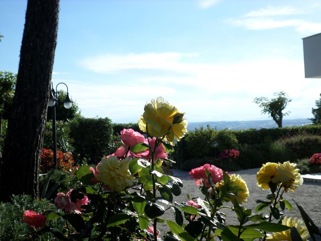 Bed And Breakfast " Il Tesoro Di Mario " Falconara Marittima Exterior foto